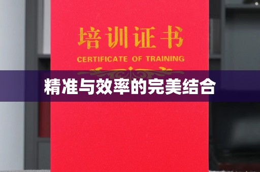 安平精准与效率的完美结合
